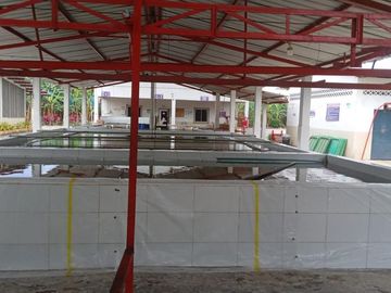 Venta Hacienda Bananera Los Ríos
