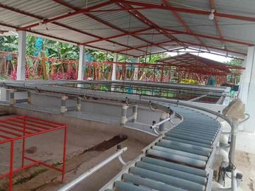 Venta Hacienda Bananera Los Ríos