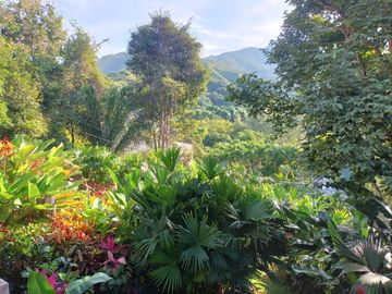 CASA QUINTA CAMPESTRE AMOBLADA CON PISCINA EN MINCA SANTA MARTA