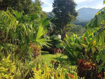CASA QUINTA CAMPESTRE AMOBLADA CON PISCINA EN MINCA SANTA MARTA
