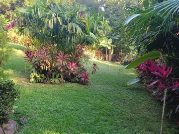 CASA QUINTA CAMPESTRE AMOBLADA CON PISCINA EN MINCA SANTA MARTA