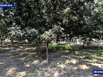 Lujosa Casa De Campo En Venta - Los Aquijes (Ica)