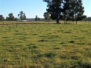 Parcela en Puerto Nuevo $35.000.000.-