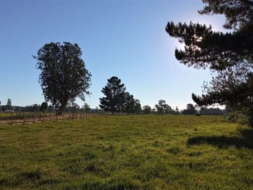 Parcela en Puerto Nuevo $35.000.000.-