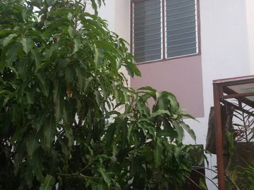 Cheap price House for sale in Chaiengmai