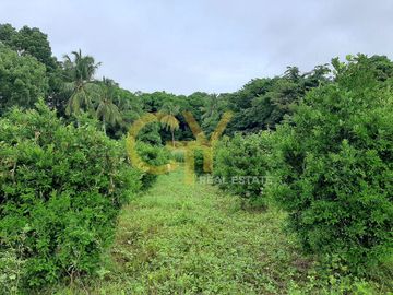 2 Storey House&Lot for Sale Mabitac, Laguna