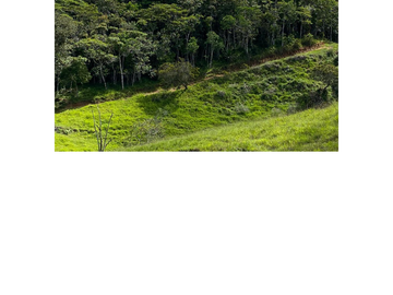 Venta Finca Ganadera en Guaduas