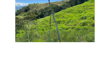 Venta Finca Ganadera en Guaduas