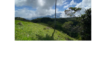 Venta Finca Ganadera en Guaduas