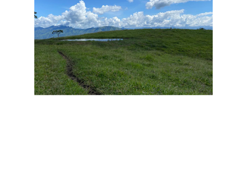 Venta Finca Ganadera en Guaduas