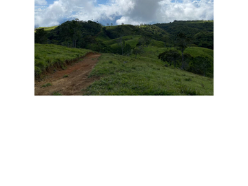 Venta Finca Ganadera en Guaduas