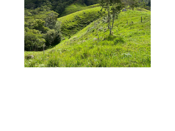 Venta Finca Ganadera en Guaduas