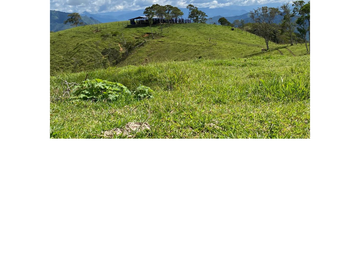 Venta Finca Ganadera en Guaduas