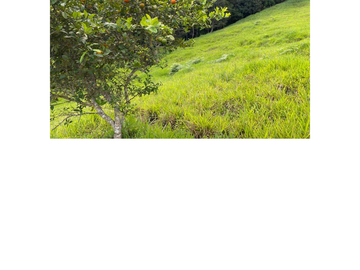 Venta Finca Ganadera en Guaduas