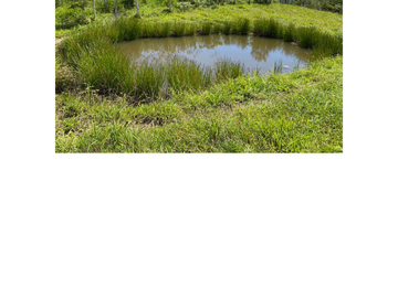 Venta Finca Ganadera en Guaduas