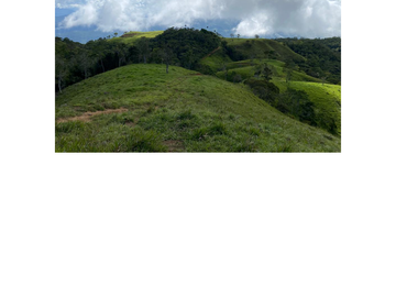 Venta Finca Ganadera en Guaduas