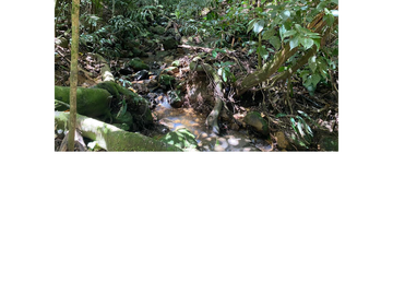 Venta Finca Ganadera en Guaduas