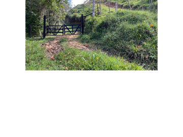 Venta Finca Ganadera en Guaduas