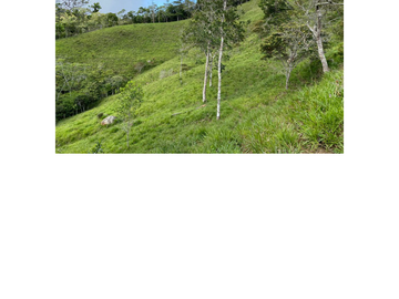 Venta Finca Ganadera en Guaduas