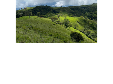 Venta Finca Ganadera en Guaduas