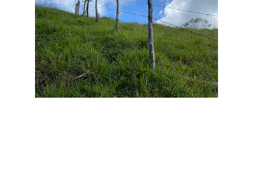 Venta Finca Ganadera en Guaduas