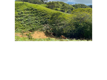 Venta Finca Ganadera en Guaduas