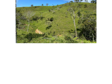 Venta Finca Ganadera en Guaduas