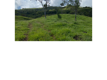 Venta Finca Ganadera en Guaduas