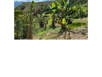 Venta Finca Ganadera en Guaduas