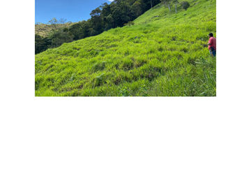 Venta Finca Ganadera en Guaduas