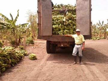 Hacienda cacaotera de venta en Santa Elena