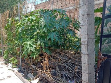 TERRENO EN VENTA CÉNTRICO EN TEHUACÁN