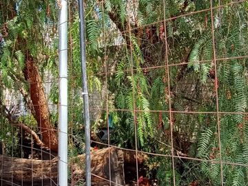 TERRENO EN VENTA CÉNTRICO EN TEHUACÁN