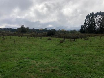 Terreno a orilla de Río Sector Antilhue