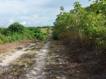 Finca de venta en jipijapa zona manantiales