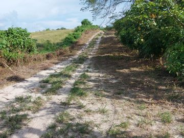 Finca de venta en jipijapa zona manantiales