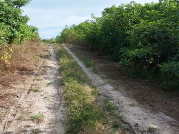 Finca de venta en jipijapa zona manantiales