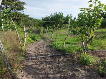 Finca de venta en jipijapa zona manantiales