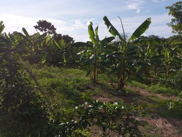 Finca de venta en jipijapa zona manantiales
