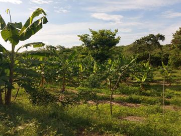 Finca de venta en jipijapa zona manantiales