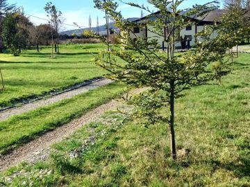 Casa en Parcela ubicada a 3 km de Lanco excelente conectividad a orillas de la Ruta 5 Sur
