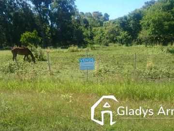 Terreno De 20 X 50 (en Punta Indio).
