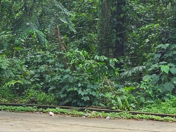FOR SALE: VACANT LOT ALONG NAIC-INDANG ROAD INDANG, CAVITE
