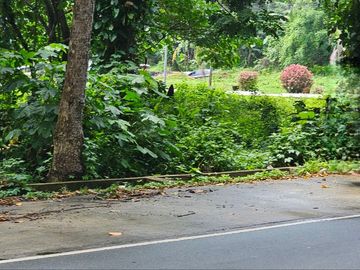 FOR SALE: VACANT LOT ALONG NAIC-INDANG ROAD INDANG, CAVITE