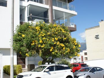 Venta - Norte - Quito - Jardines de Amagasi - Departamento - Grande