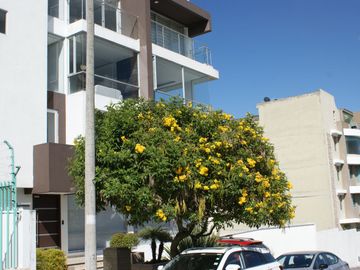 Venta - Norte - Quito - Jardines de Amagasi - Departamento - Grande