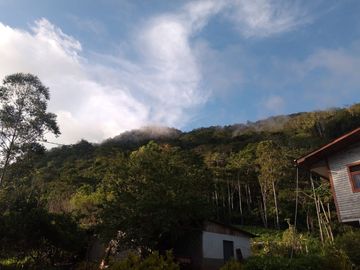 FINCA CAFETERA EN OXAPAMPA, PRECIOSA FINCA CON 8 HECTAREAS DE CAFE EN PLENA PRODUCCIÓN