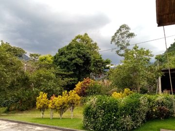 FINCA CAFETERA EN OXAPAMPA, PRECIOSA FINCA CON 8 HECTAREAS DE CAFE EN PLENA PRODUCCIÓN