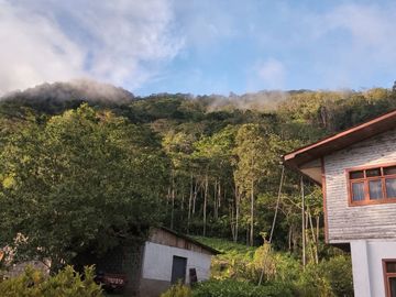 FINCA CAFETERA EN OXAPAMPA, PRECIOSA FINCA CON 8 HECTAREAS DE CAFE EN PLENA PRODUCCIÓN