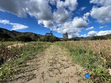 Se vende terrenos planos en Vilcabamba